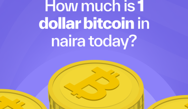 How Much is 1 Dollar Bitcoin in Naira Today?