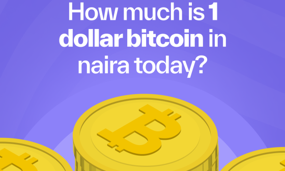 How Much is 1 Dollar Bitcoin in Naira Today? 