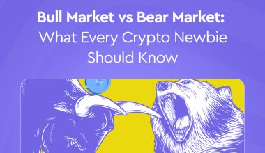 bull market vs bear markets in crypto