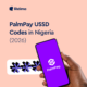 PalmPay USSD Code